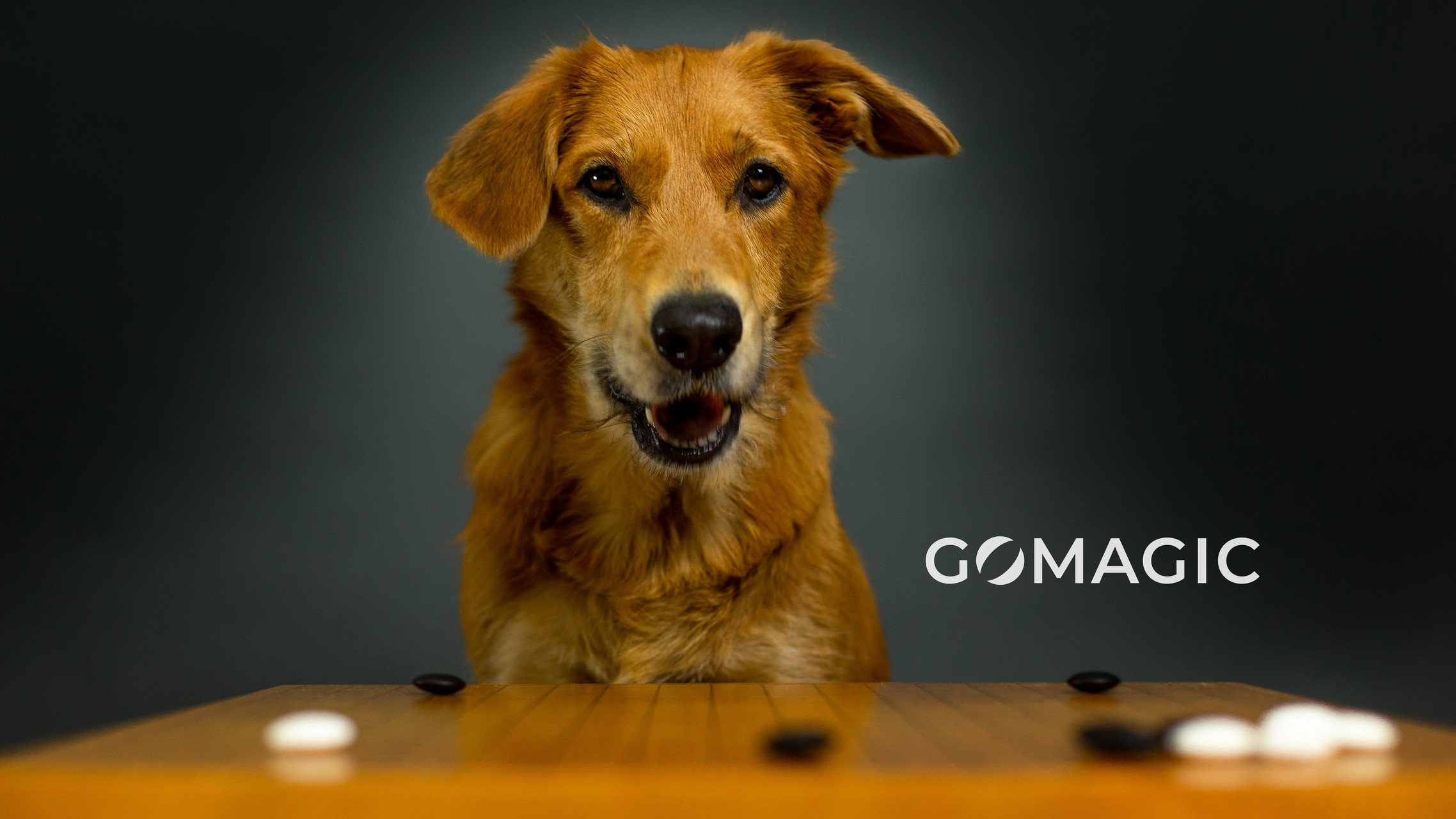 GoMagic